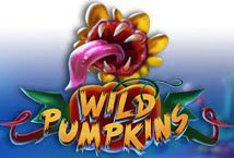 Wild Pumpkins slot